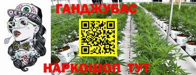 альфа пвп Волгодонск